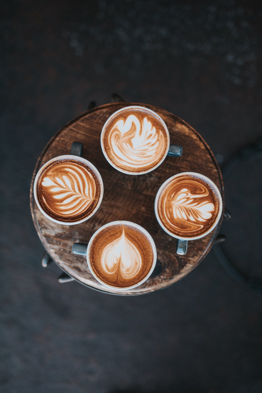 Welche Milch für Cappuccino? Tipps -Tricks für den perfekten Milchschaum zu Hause