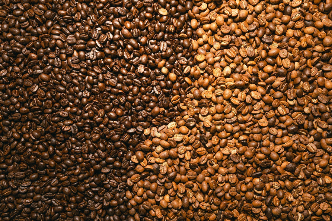 Unterschied zwischen heller und dunkler Kaffee Röstung -Auswirkung der Röstzeit auf die Helligkeit und Dunkelheit des Kaffees