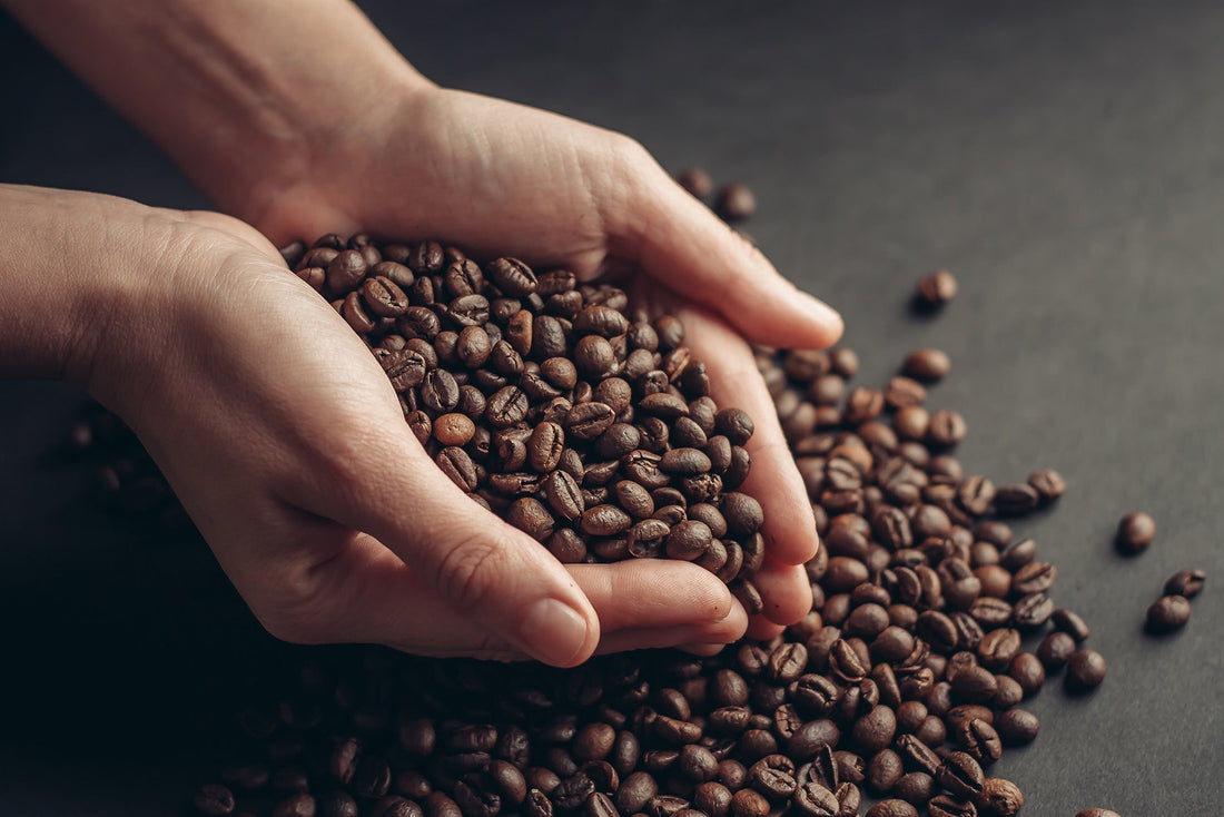Omni Roast Kaffee: Ein neuer Trend in der Kaffeewelt