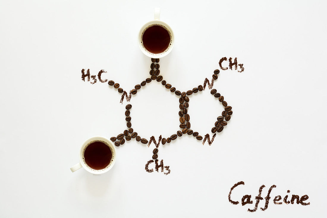 Wie viel Koffein hat Kaffee? Fakten und Mythen zu Koffein in Kaffee und Espresso