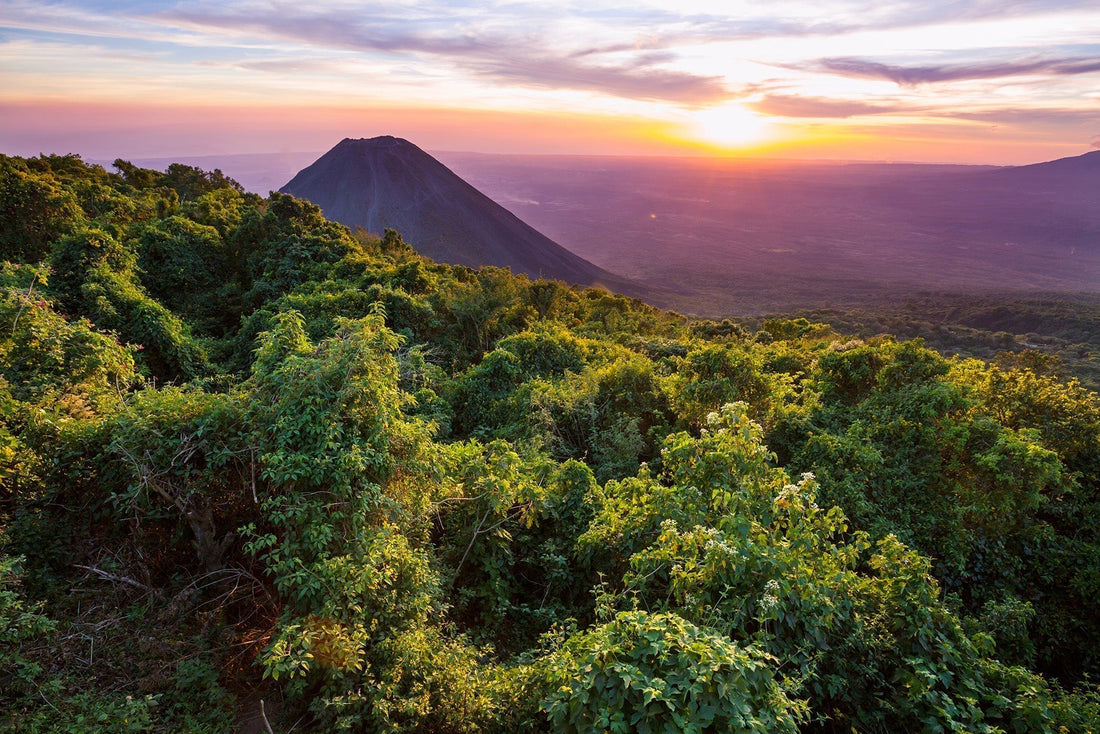 Kaffee aus El Salvador | Vollmundiger Genuss direkt vom Ursprung