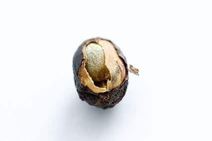 Kaffeebuch |  |  |  |  |  |  |