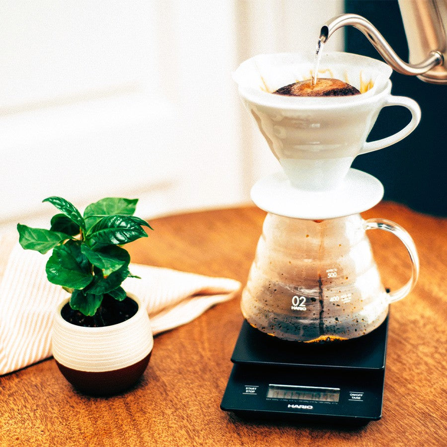 Hario V60 Drip Scale - Barista Scale with Timer